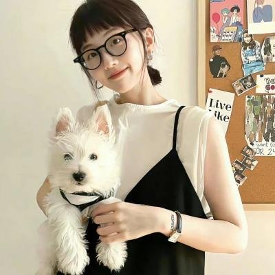 魔鬼歼击者