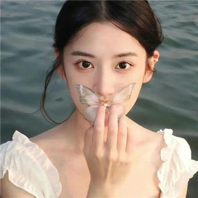美味情缘国语